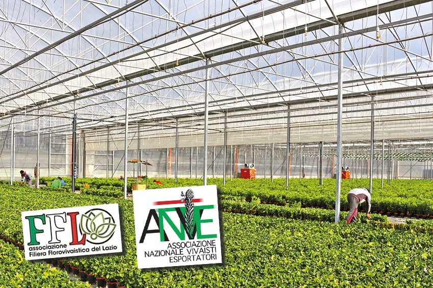 fn agropontino FFL ANVE min