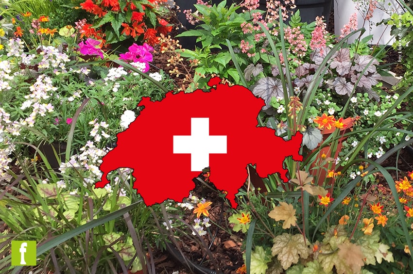 fn referendum pesticidi svizzera piante fiori min