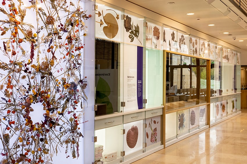 bp rhs home gardening science herbarium min