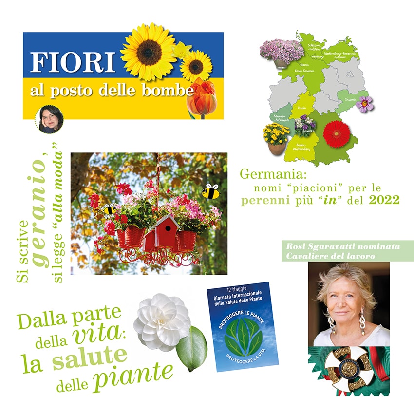 fn uscita numero 20220506 mix min