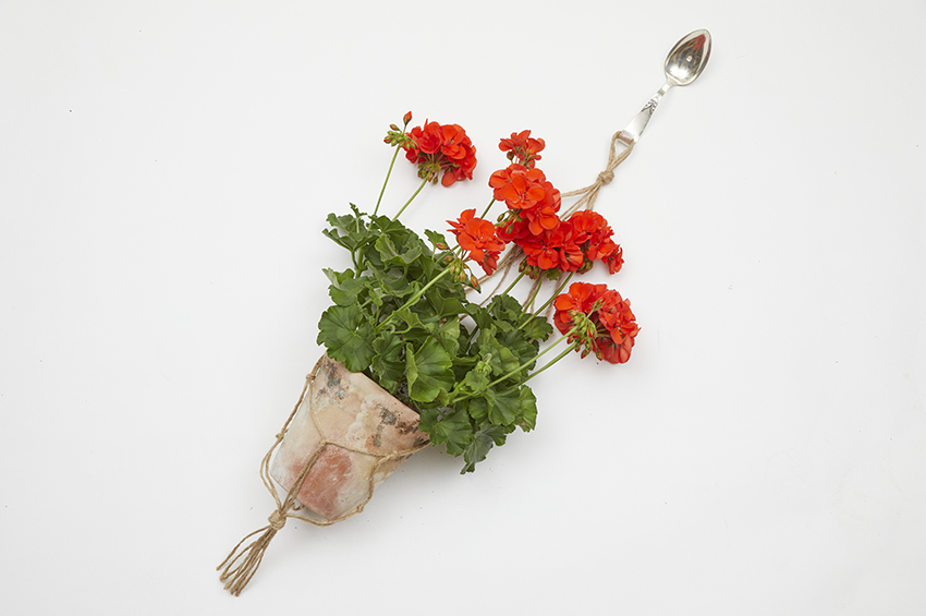 gerani hanging basket Foto copyright Pelargonium for Europe