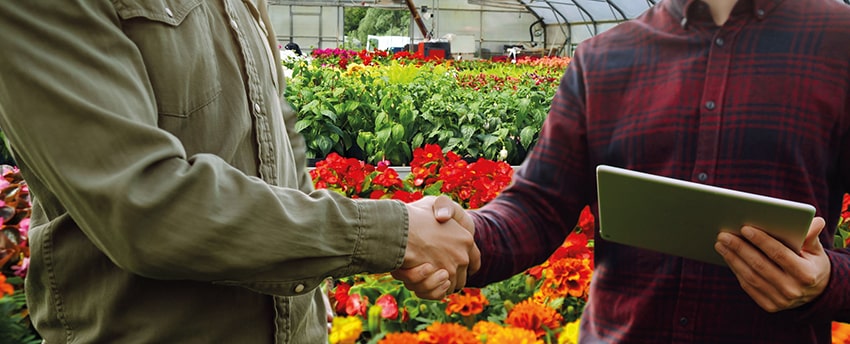 IlFloricultore 20230506 pp min