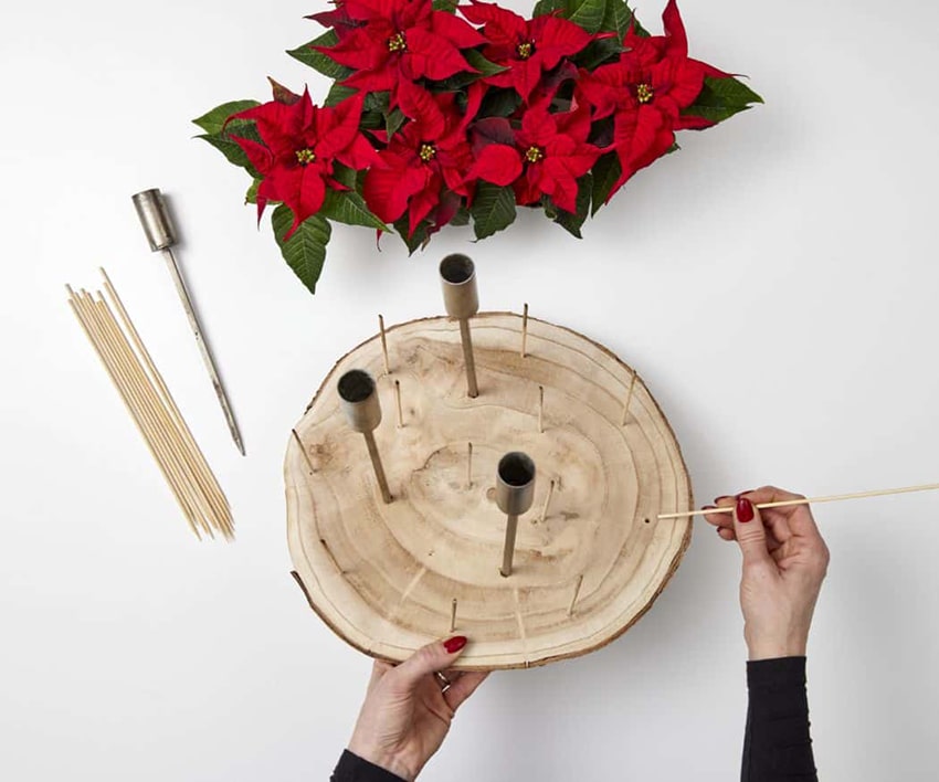 af stelle di natale 2023 01 02 poinsettia 03110 DIY Kokedama Advent Wreath min