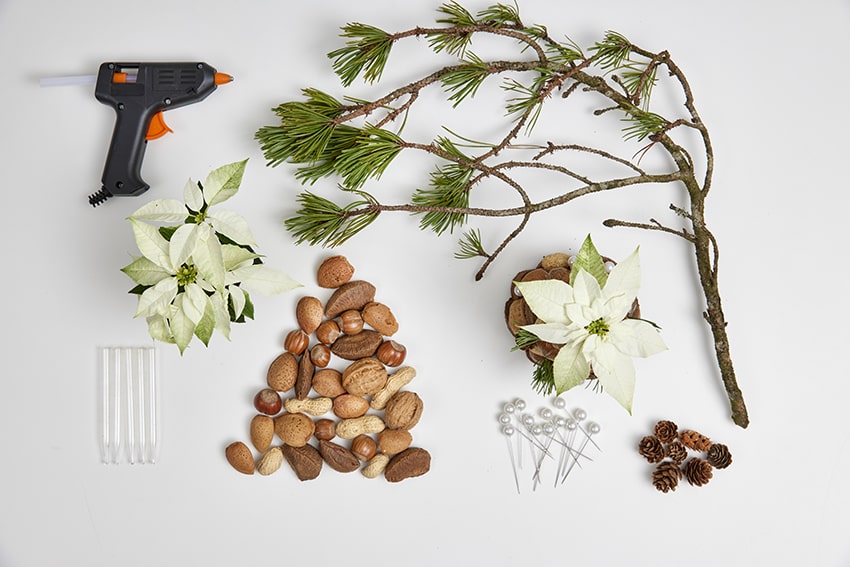 af stelle di natale 2023 03 00 occorrente poinsettia DIY natura minimal min