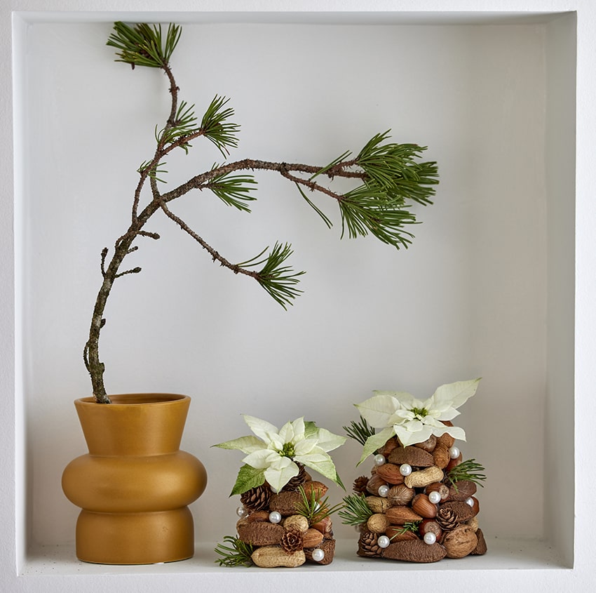 af stelle di natale 2023 03 00 poinsettia DIY natura minimal min