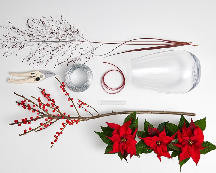 af stelle di natale 2023 04 00 occorrente poinsettia DIY chimera min