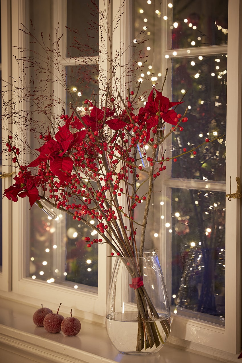 af stelle di natale 2023 04 00 poinsettia DIY chimera min