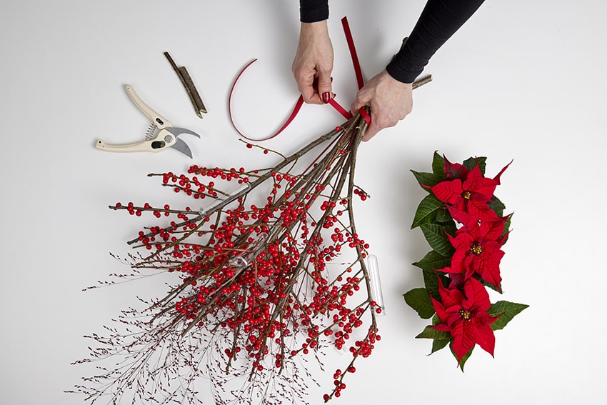 af stelle di natale 2023 04 02 poinsettia DIY chimera min