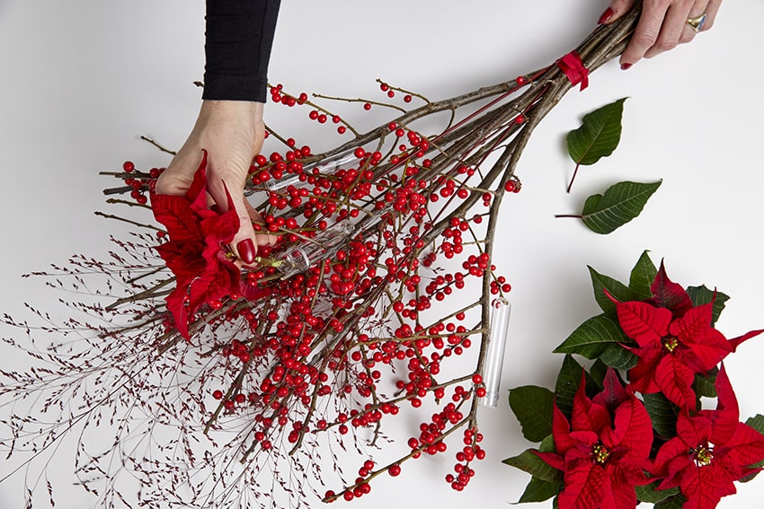 af stelle di natale 2023 04 03 poinsettia DIY chimera min