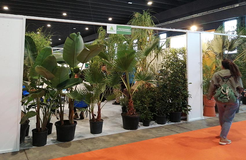 fm garden day 2023 stand min