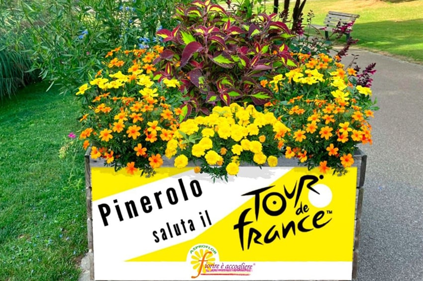 fn asproflor Tour de France Asproflor min