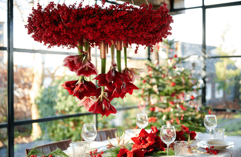 af amaryllis upsidedown min