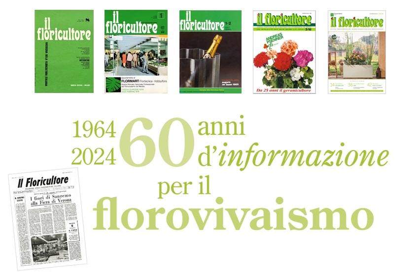 fn 60 anniversario editoriale min