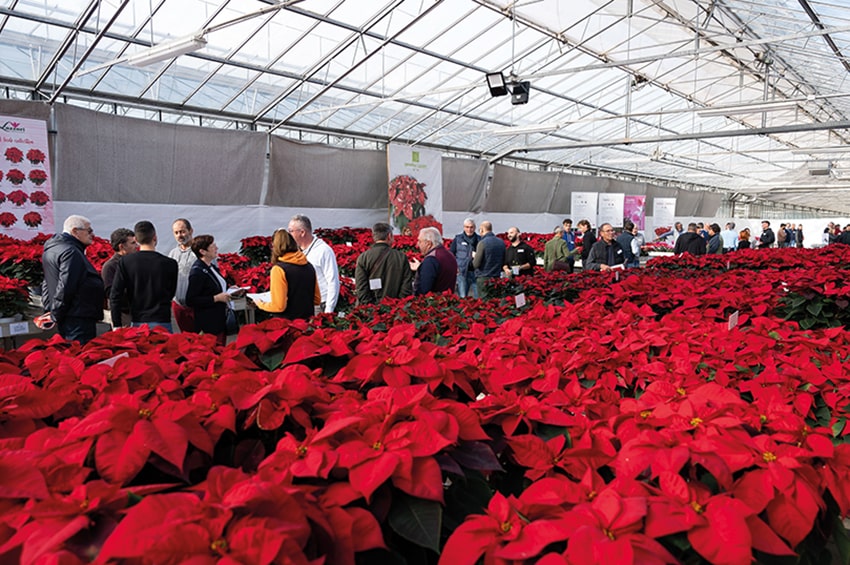 fn Il Floricultore 20240102 ap lazzeri min