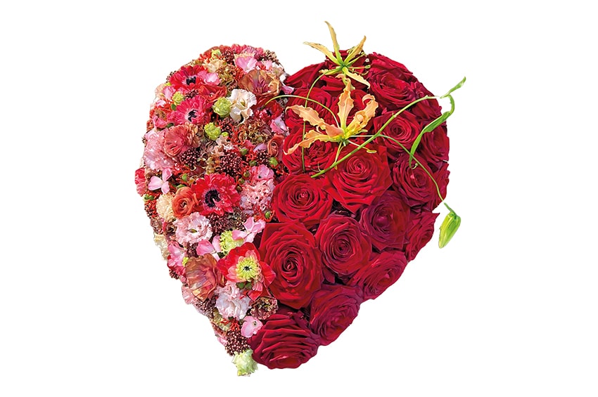 fn Il Floricultore 20240102 wwg min