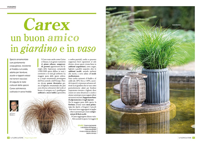 fn Il Floricultore 20240506 viv min