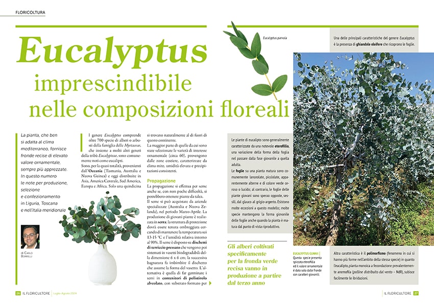 fn Il Floricultore 20240708 flor min