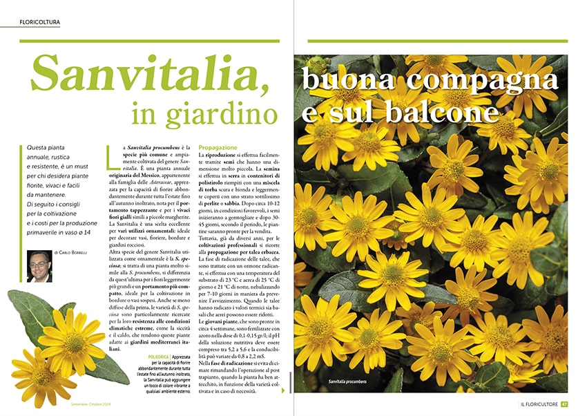 fn Il Floricultore 20240910 flor min