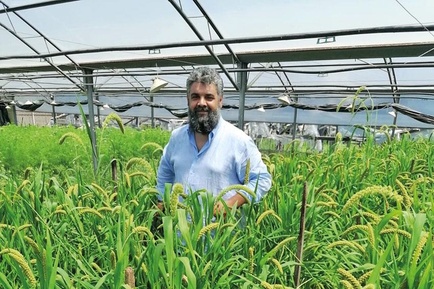 fn Il Floricultore 20240910 rtf min
