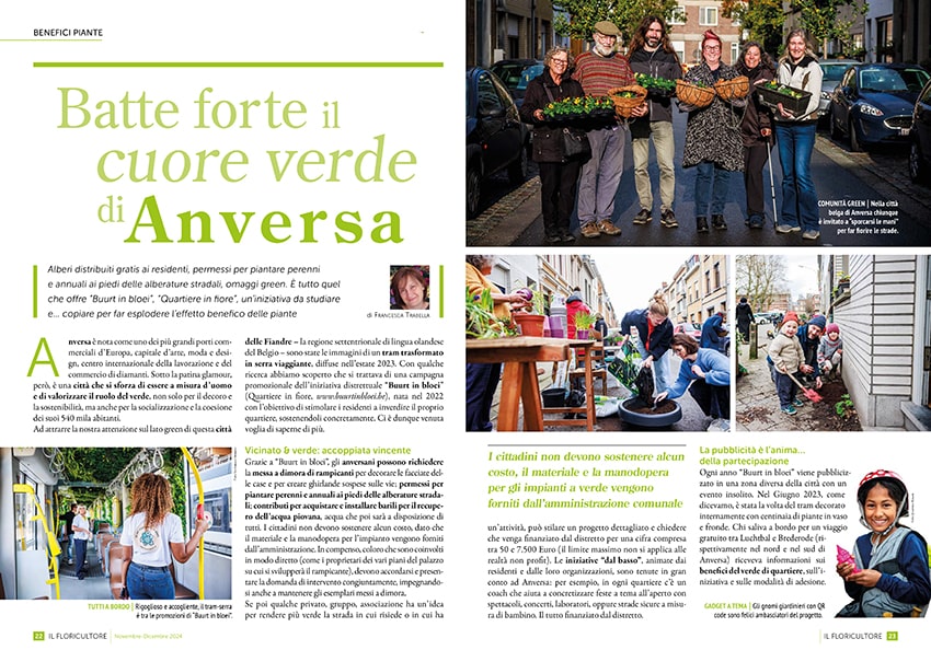 fn Il Floricultore 20241112 anversa min