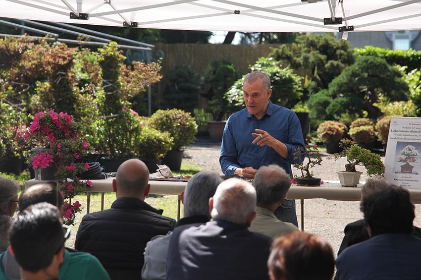 fn Satsuki Bonsai Festival Crespi Bonsai Lezioni workshop min