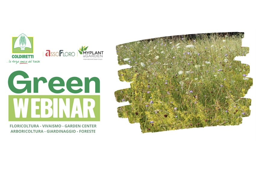 form greenwebinar prati fioriti min