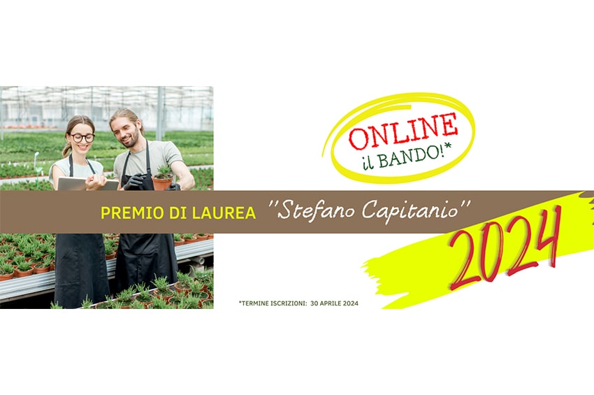 form premio di laurea stefano capitanio 2024 bando min