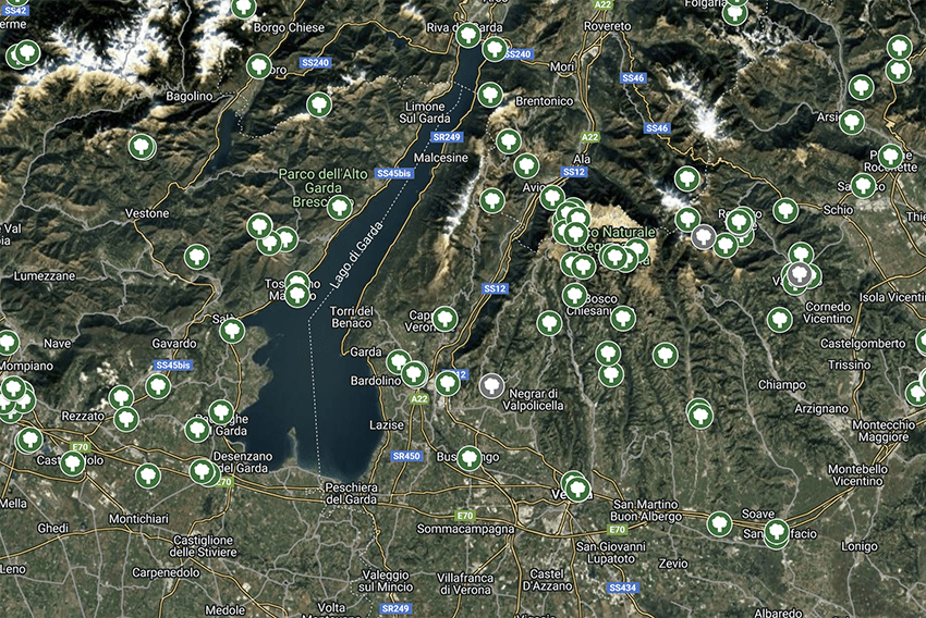gp alberi monumentali italia mappa vr min