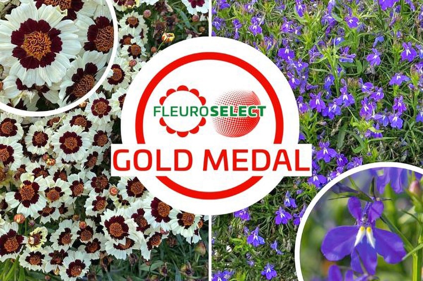 gp fleuroselect gold medals min