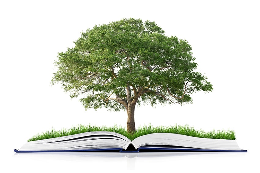 gp concorso alberi monumentali min