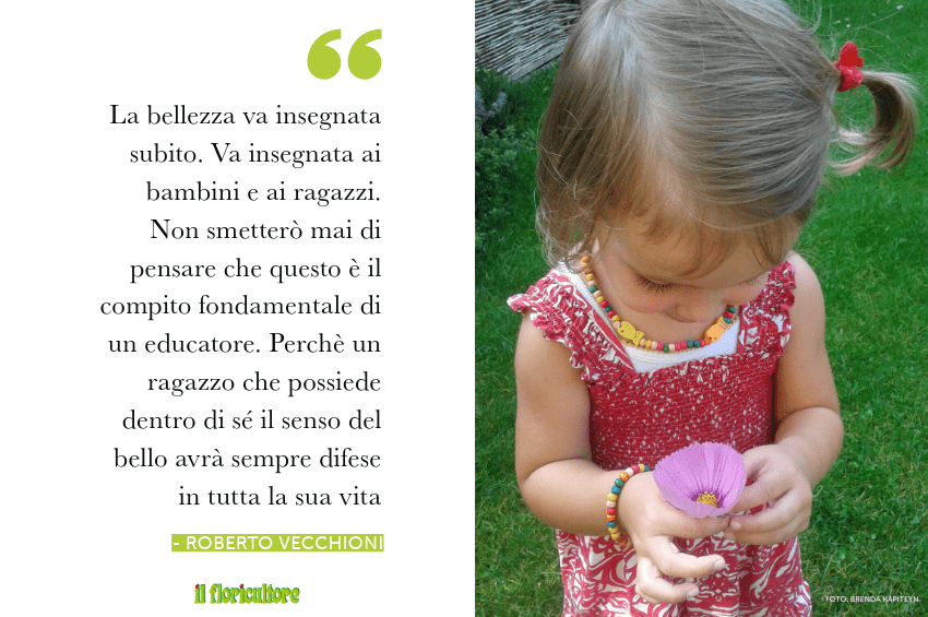 verbatim roberto vecchioni sito min