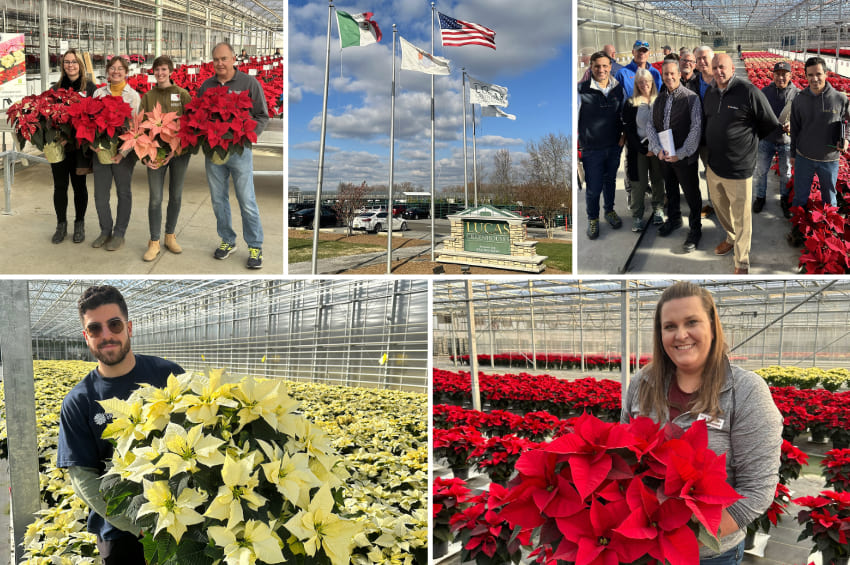 ap lazzeri poinsettia america tour 2024