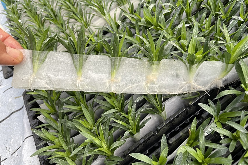 ap selecta German TASPO Award Best B2B Product Idea 34 min