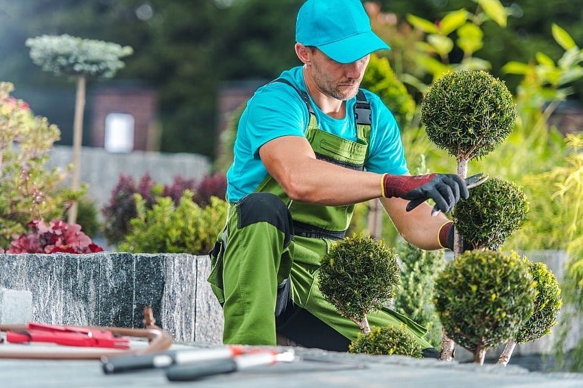 fm greenitaly25 professioni min