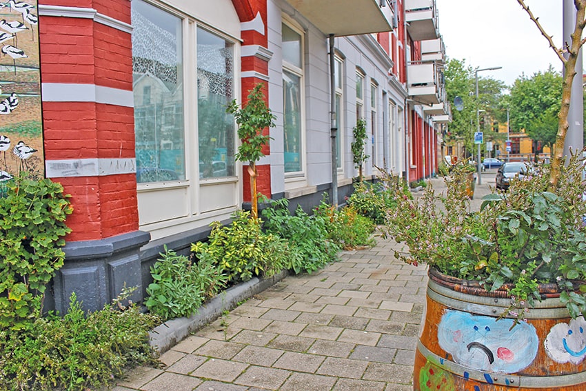 fn Il Floricultore 20250102 wwg 02bis terrarium rotterdam min