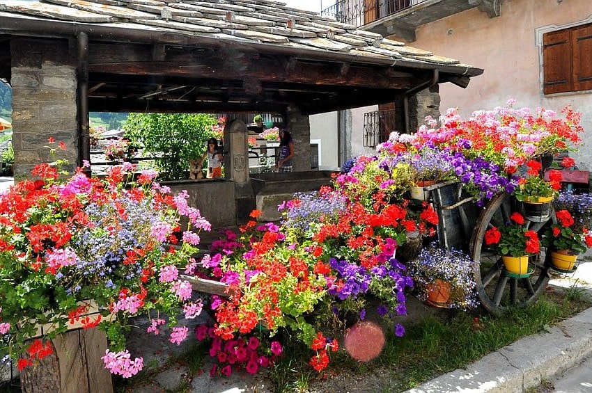 fn comune fiorito 2025 min