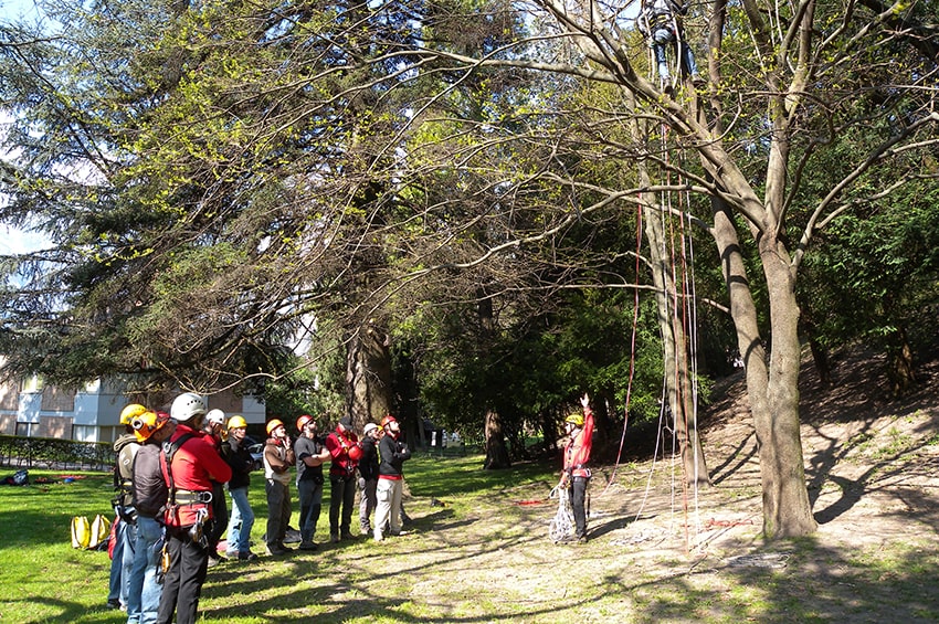 form fem corso verde min