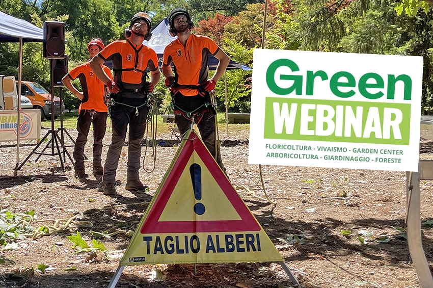 form green webinar tree climbing cover min