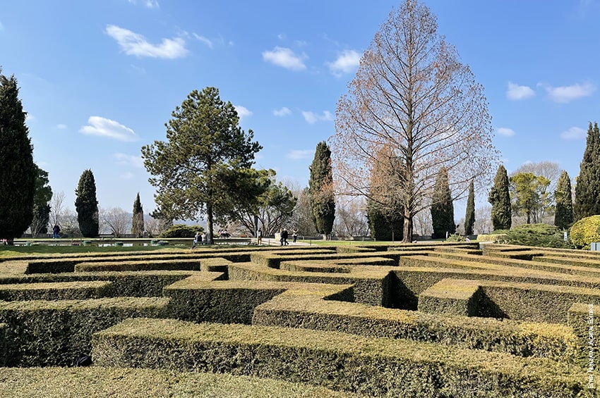 gp parco giardino sigurta labirinto 02 foto EiN Agrital Editrice min