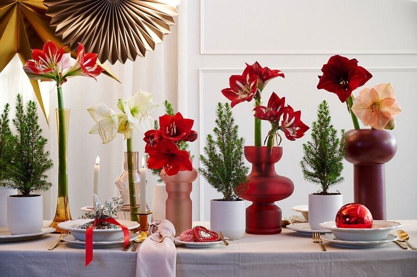 in Xmas25 4 iBulb min