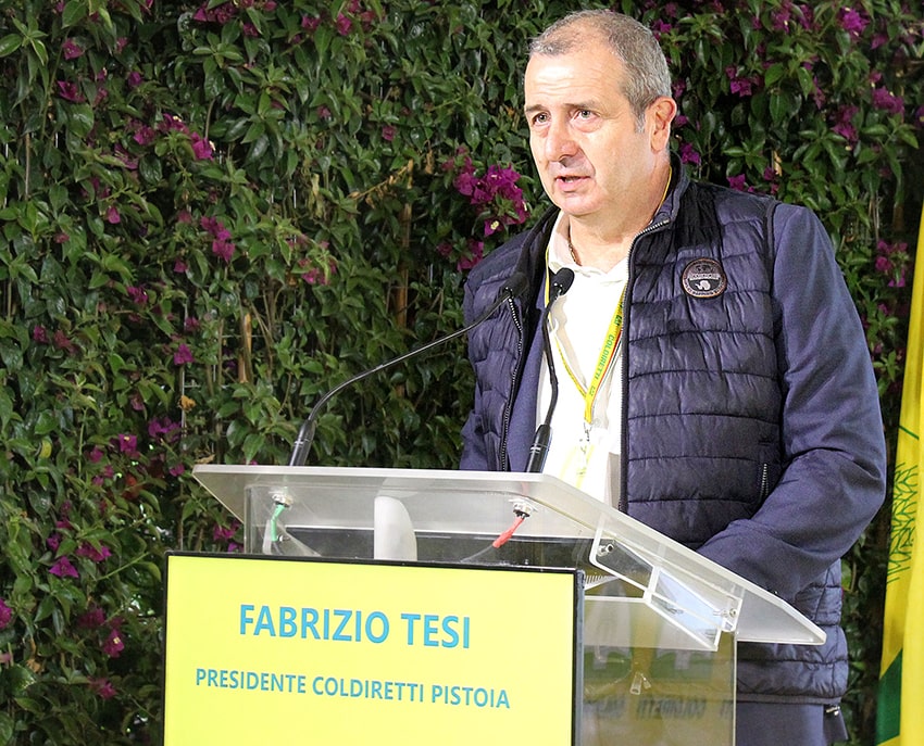 mer export pistoia tesi min
