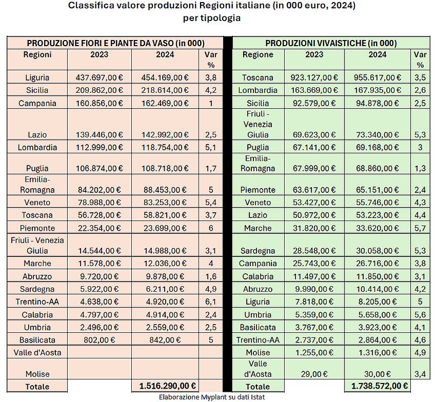 merc italia 2024 myplant 02 min