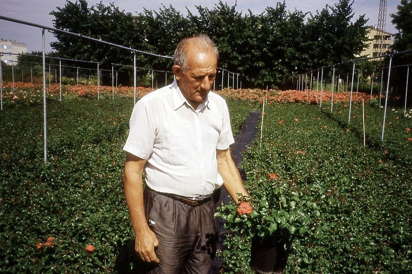 np Remo Saldini 1987 min