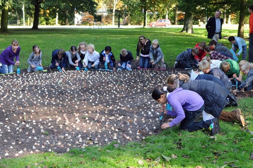 tb Community Planting iBulb min