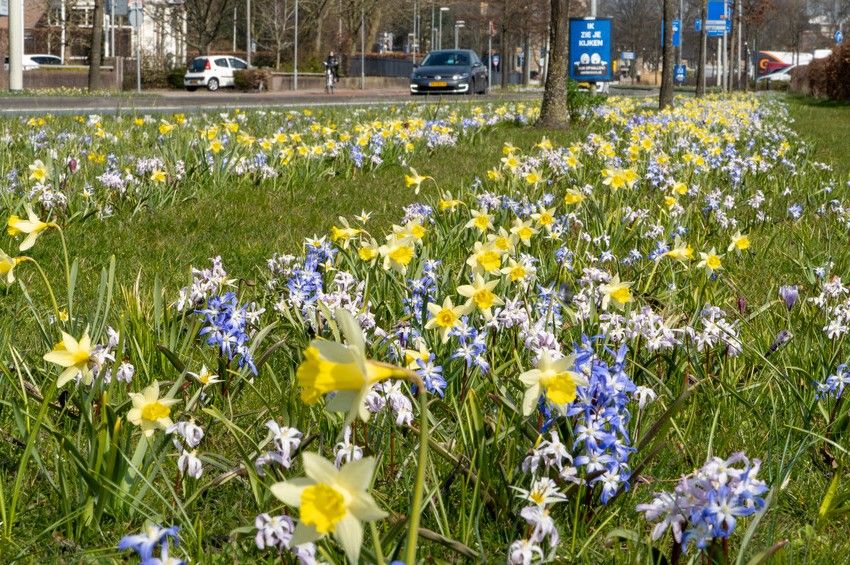 tb Mix Urbano iBulb min