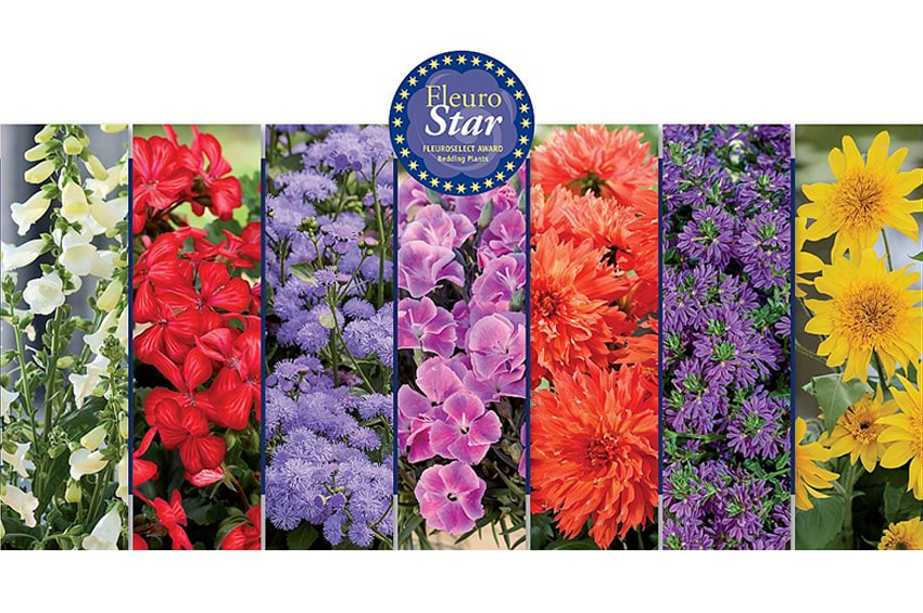 tm fleurostar Compilation 25 min