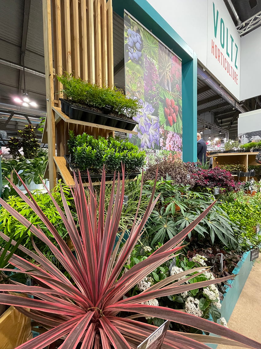 ap graines voltz myplant 02