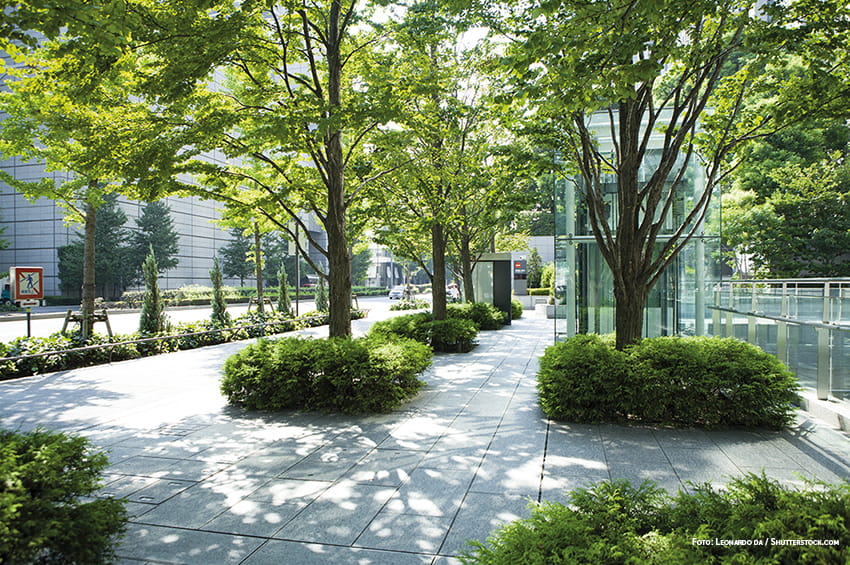 bp appalti verdi verde urbano foto copyright Leonardo daShutterstock