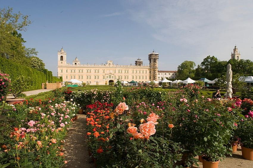 fm Emilia Segno del Giglio min