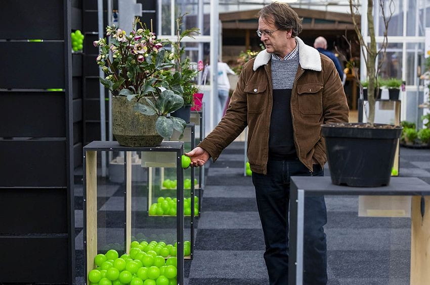 fm plantarium febbr26 02 min